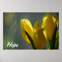 Esperança - Flores Amarelas das Tulipas