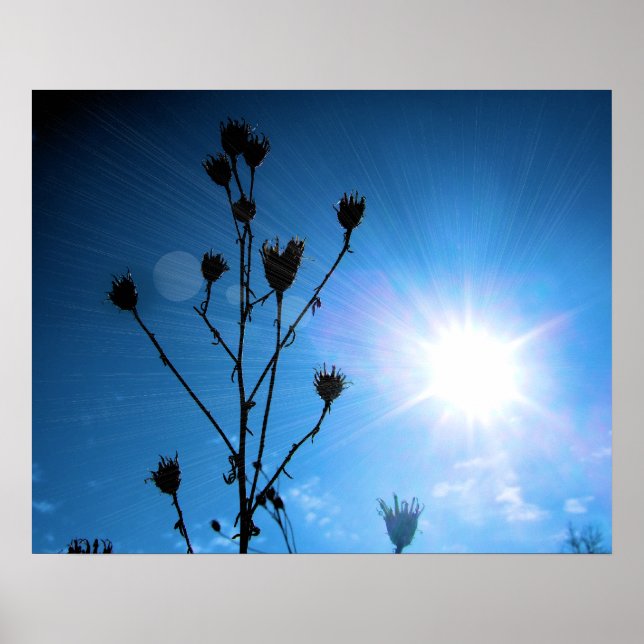 Póster Esperança vencedora do Prêmio TBA (Frente)