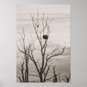 Póster Esperando a vida