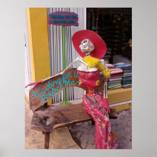 Póster Esperando o homem perfeito