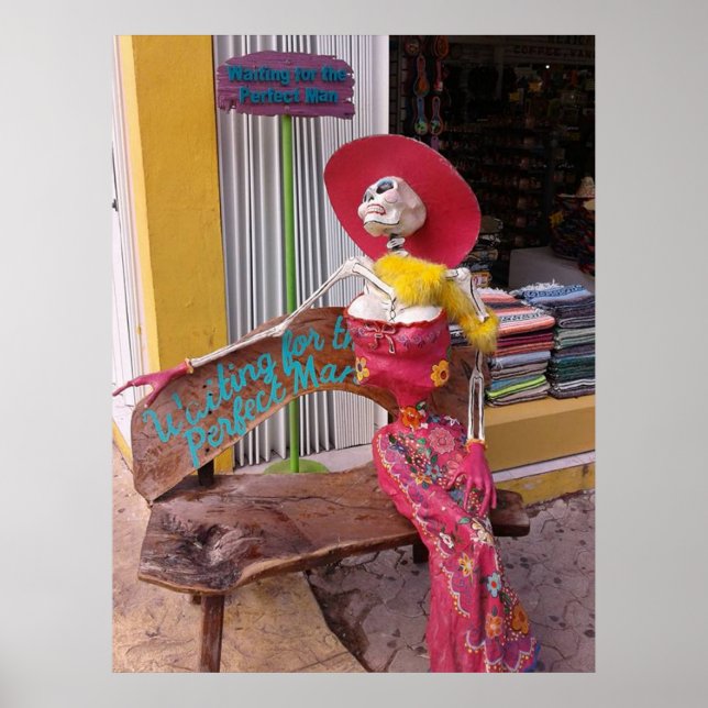 Póster Esperando o Homem Perfeito (Frente)