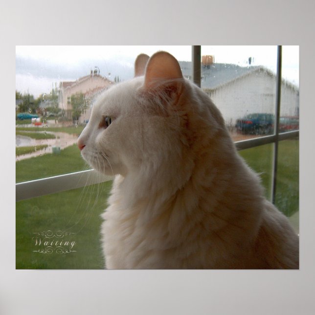 Poster Esperando pelo meu humano (Frente)