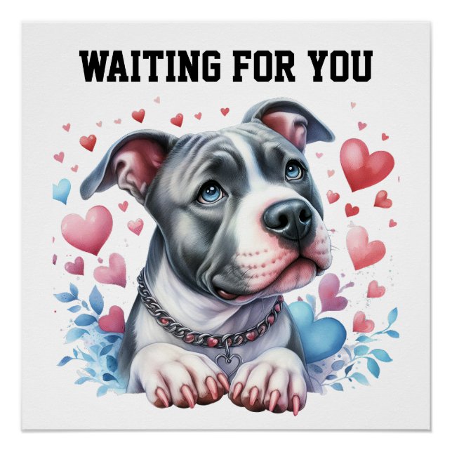 Póster Esperando pelo seu amor (Frente)