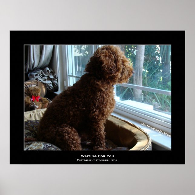 Poster "Esperando por você" (Frente)