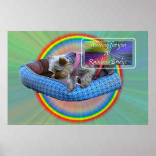 Póster Esperando por você na Ponte Rainbow