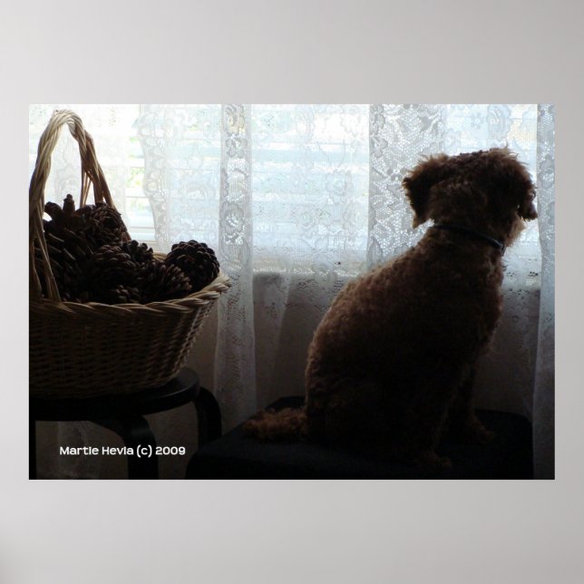 Póster Esperas de Rookie (Frente)