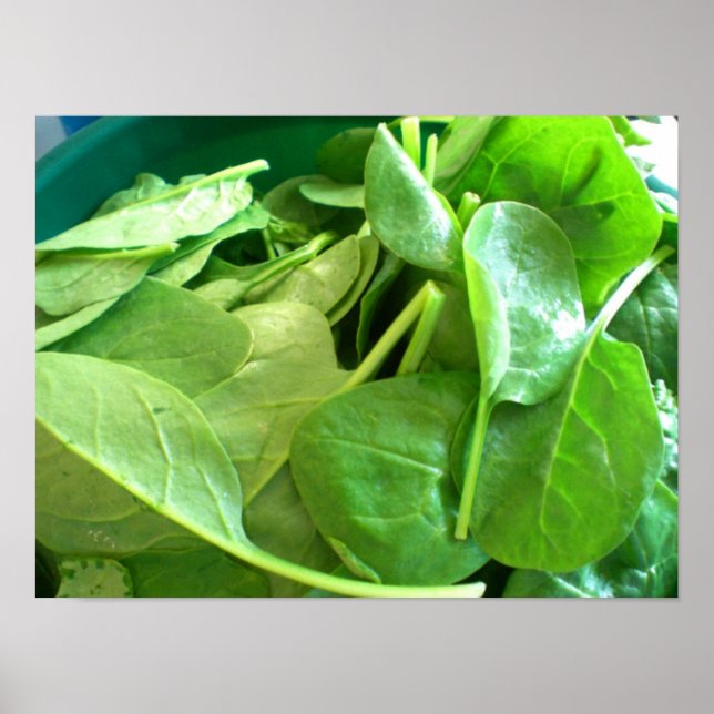 Poster Espinafre (Frente)