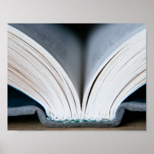Póster Espinha do livro (poster)