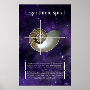 Poster Espiral Logarítmica