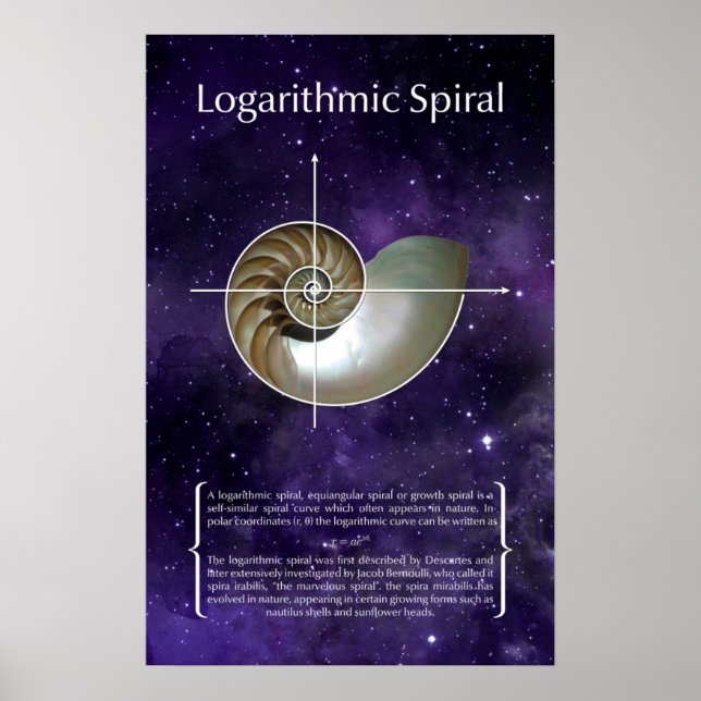 Poster Espiral Logarítmica (Frente)