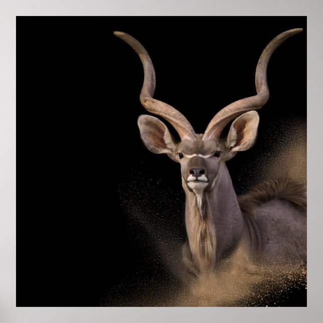 Poster Espírito de Kudu (Frente)