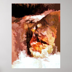 PÓSTER ESPÍRITO DO RIO