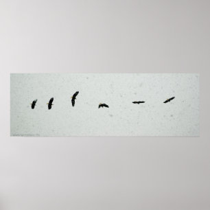 Póster Espírito do Voo