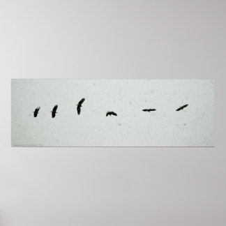 Póster Espírito do Voo