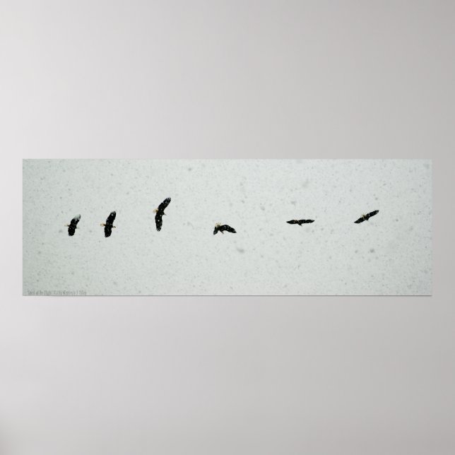 Póster Espírito do Voo (Frente)