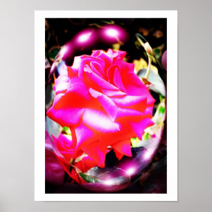 Póster Espíritos de rosa