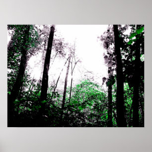 Póster Espirra do verde