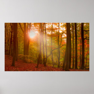 Poster Esplendor de outono