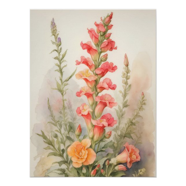 Póster Esplendor de Snapdragon (Frente)