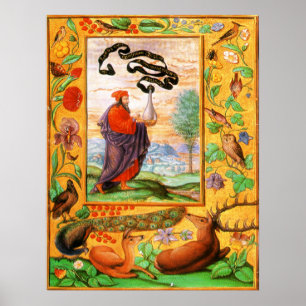 Póster Esplendor Solis: Filósofo com garrafa