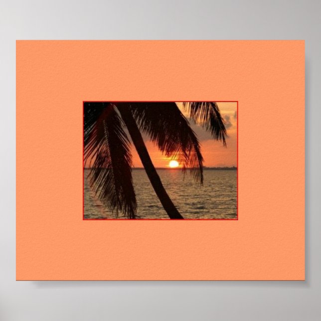 Póster Esplendor tropical (Frente)