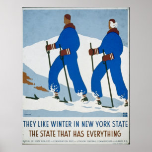 Póster Esporte de inverno do vintage em New York