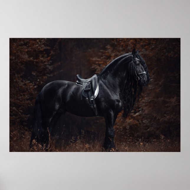 Poster Esportes elegantes Dressagem Frísia Stallion (Frente)