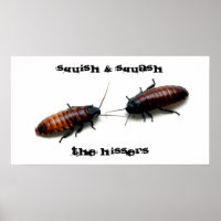 Esquadrão, Os Hisers