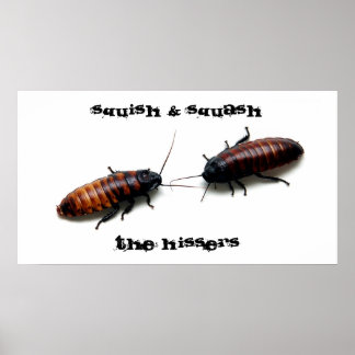 Poster Esquadrão, Os Hisers