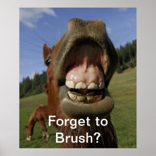 Póster Esqueça o Brush?