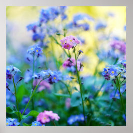 Poster Esqueçam-me-não-flores