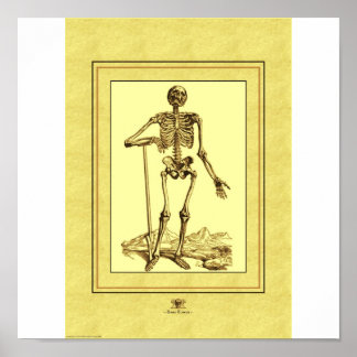 Póster Esqueleto