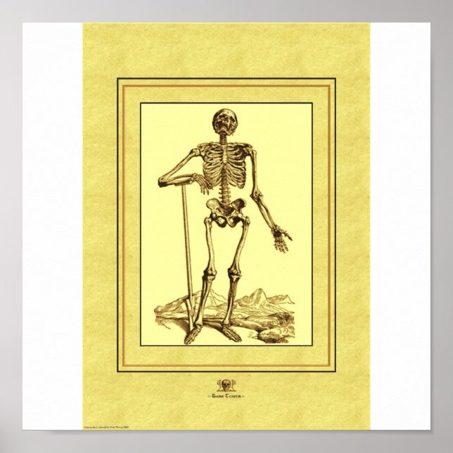 Póster Esqueleto (Frente)