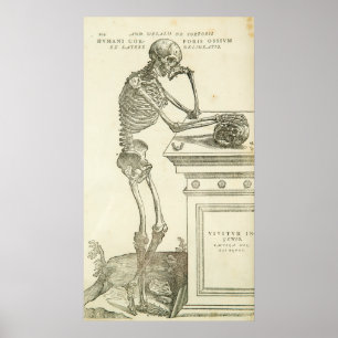 Póster Esqueleto de Andreas Vesalius da anatomia do