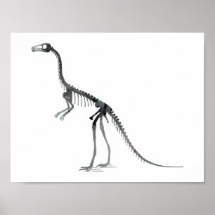 Póster esqueleto de compsognathus