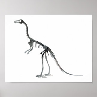 Póster esqueleto de compsognathus