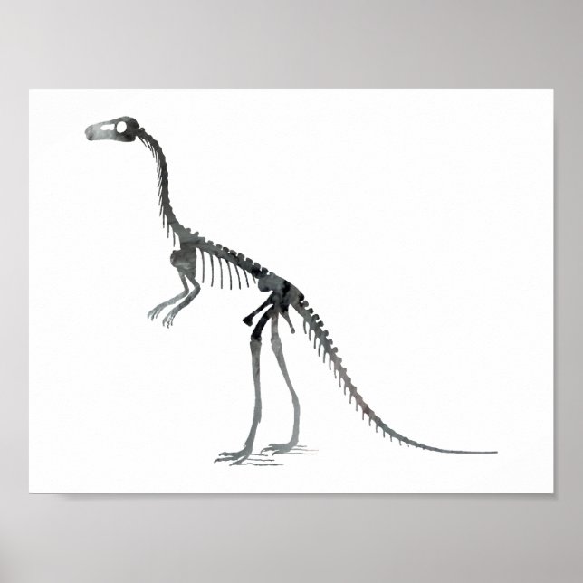 Póster esqueleto de compsognathus (Frente)