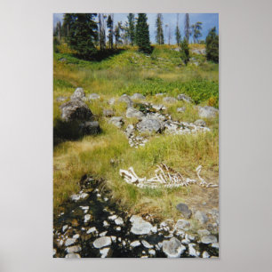 Póster Esqueleto de Elk