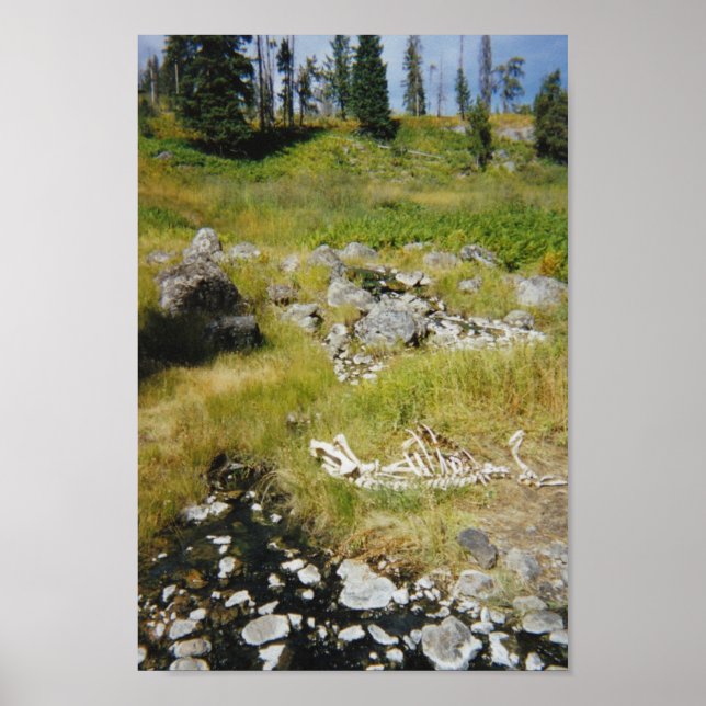 Póster Esqueleto de Elk (Frente)