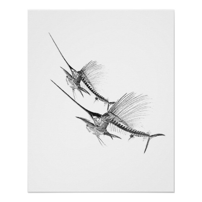 Póster Esqueleto de Peixe-Espada Pescador (Frente)