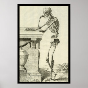 Poster Esqueleto Vintage, Anatomia Humana por Denis Dider
