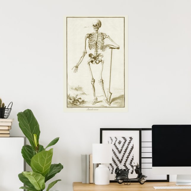 Poster Esqueleto Vintage, Anatomia Humana por Denis Dider (Escritório em casa)