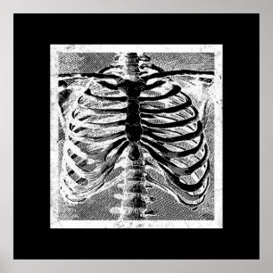 Poster Esqueleto Vintage Ossos Torso Corpo Halloween