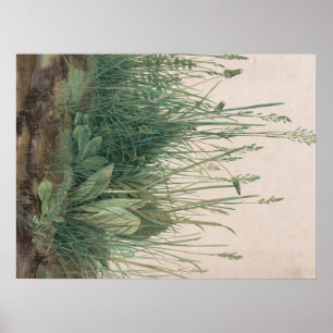 Póster Esquema de Albrecht Durer