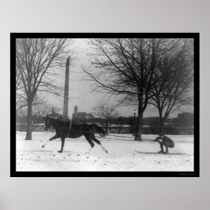 Póster Esqui atrás do Cavalo Washington, DC 1919