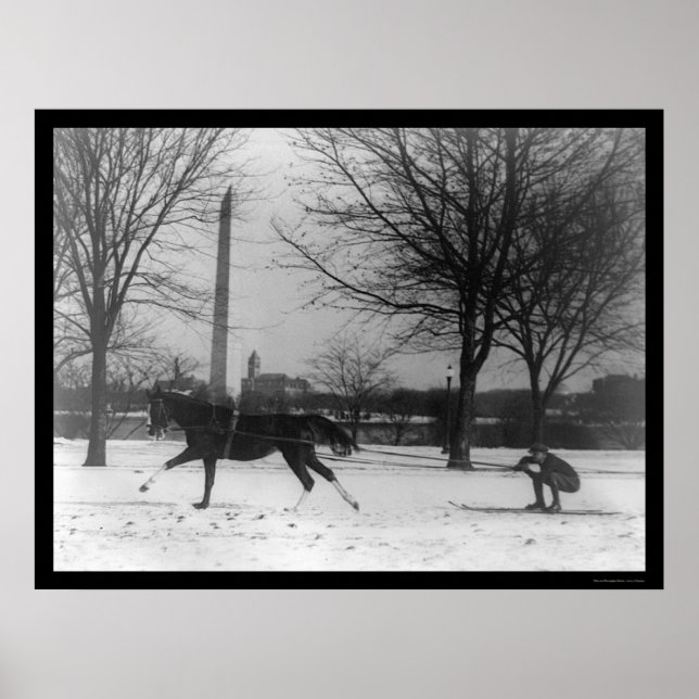 Póster Esqui atrás do Cavalo Washington, DC 1919 (Frente)