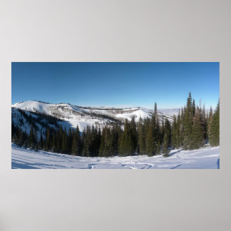 Poster Esqui em Árvore