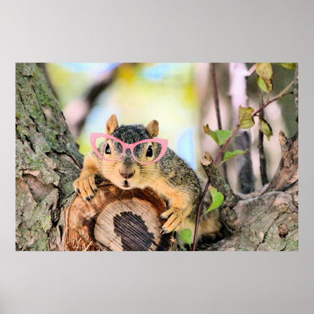 Poster Esquilo (Frente)