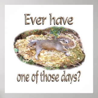 Póster Esquilo Cansado