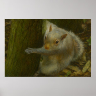 Poster Esquilo Curioso - Arte da Floresta